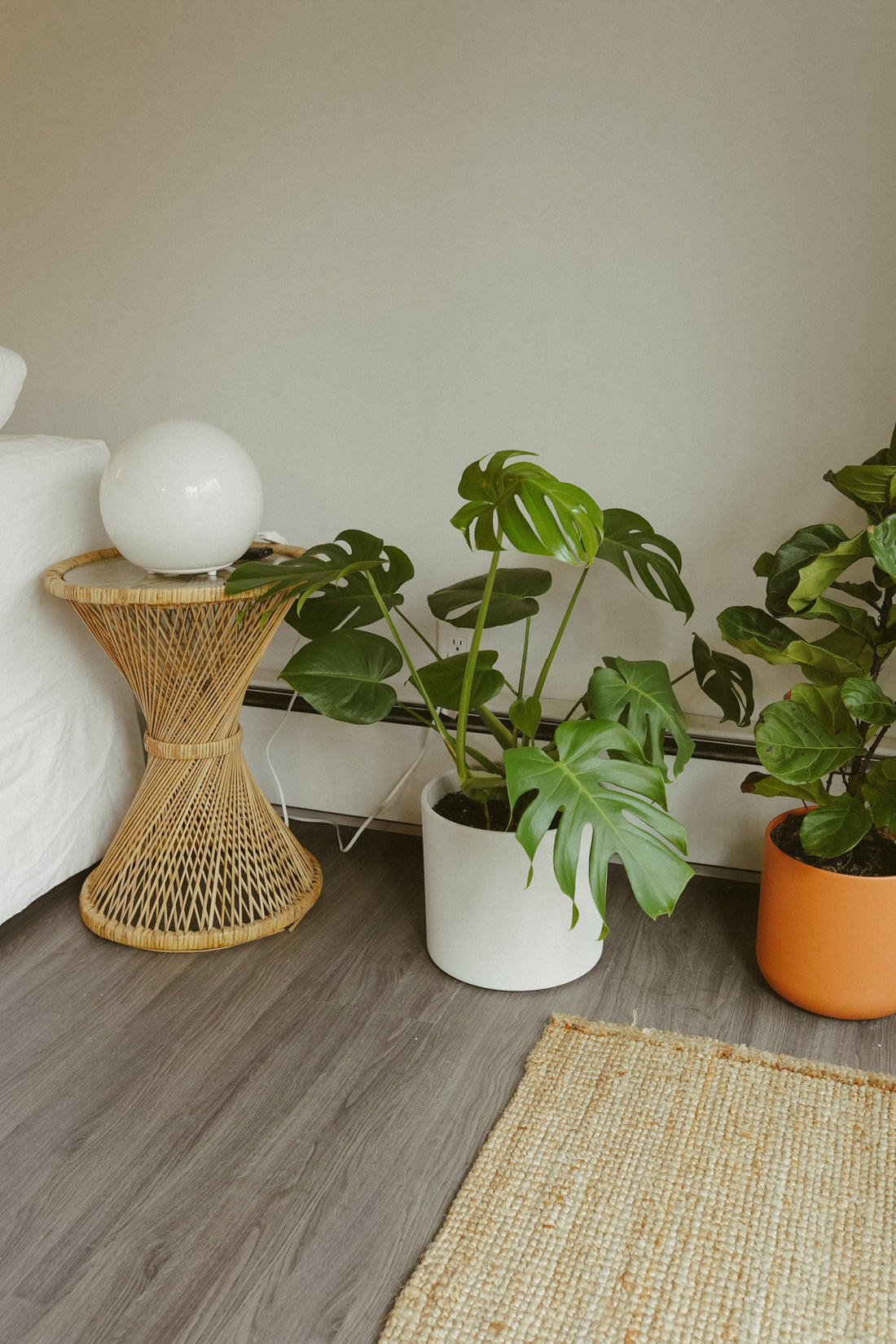 Roots: This home in East Vancouver is all clean lines and vintage