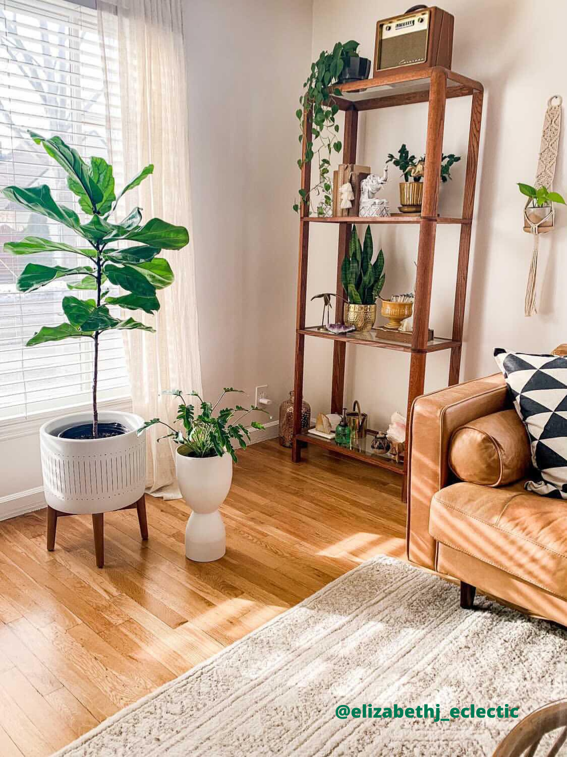 Gemini Pot