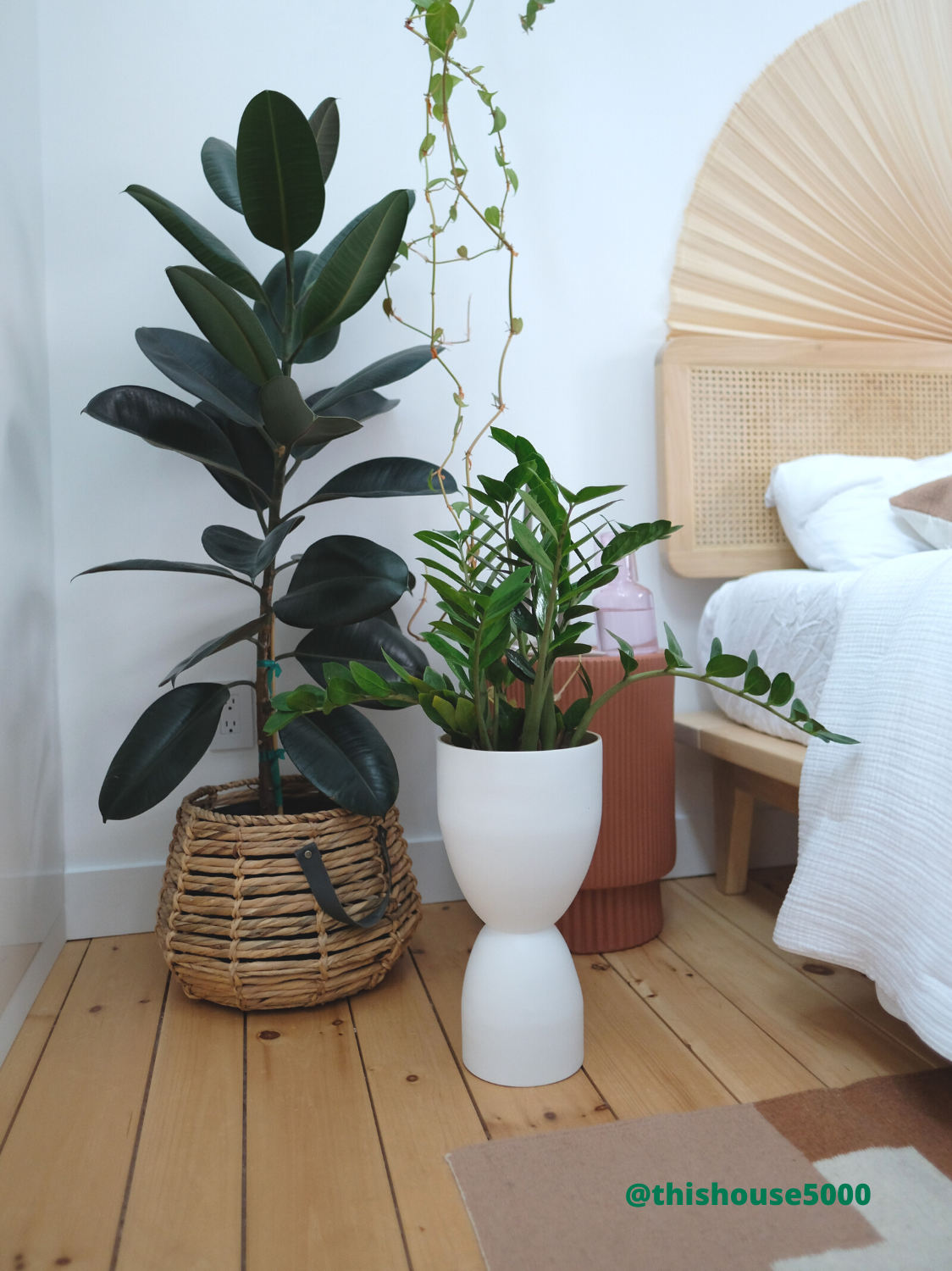 Gemini Pot