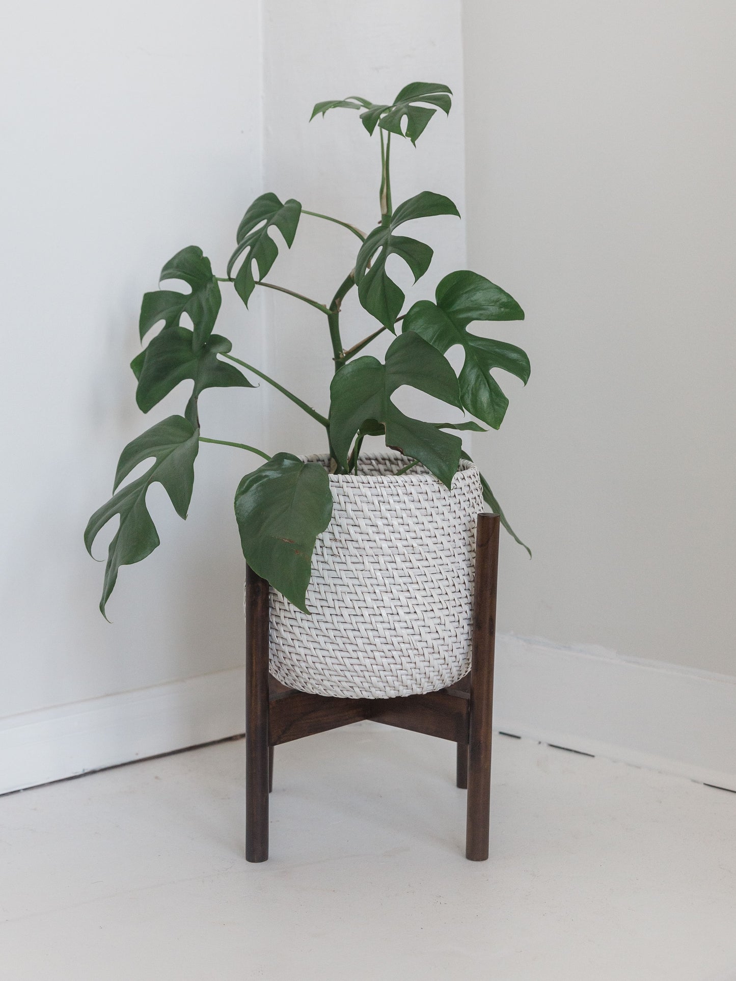 Olla Pot and Juana Stand