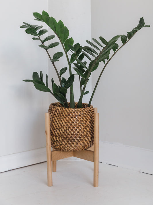 Olla Pot and Juana Stand