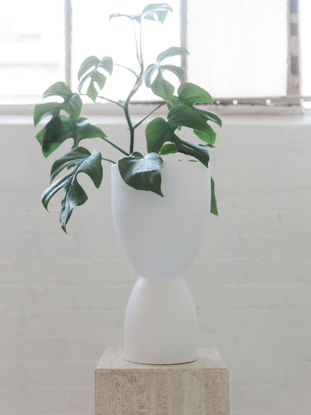 Gemini Pot